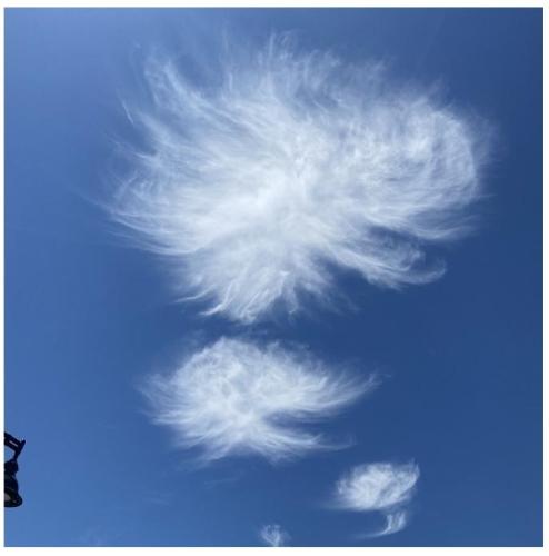 4c0d5185-9831-4da7-9fb9-7cb7a0dba3de