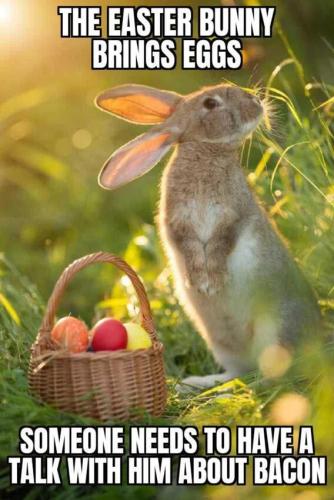 fc84bc8192a6b42b52cee528e850587f