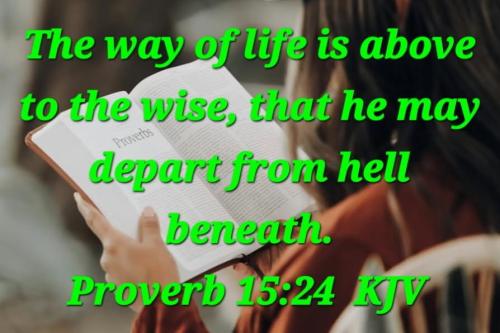 c3c69bfd-e20d-4542-b2d8-f0fa3bfd49a1