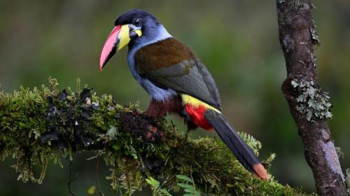 RDT_20260419_0021356340490639229953327