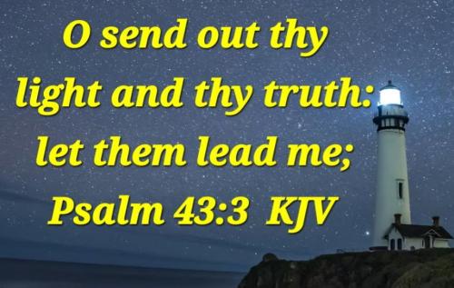 334bebe6-5652-4bff-afd7-269db6a45570