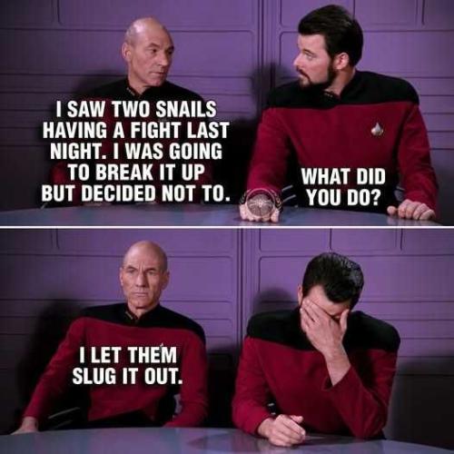 OMkBoZStHK1Sdx7ZvaOK_10_b6da96818aced2cb46c56ba1e7c029f6_image