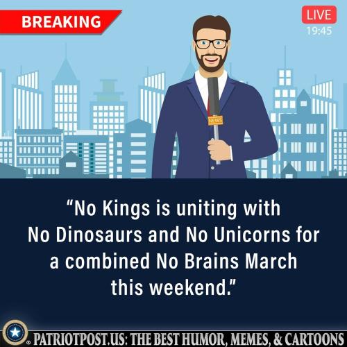 01KNME2ZFPJEQT0WK1GX4DA76N