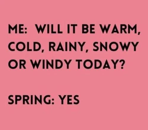 d585d3fe3a7ce6b94cc0751e7d607a5d