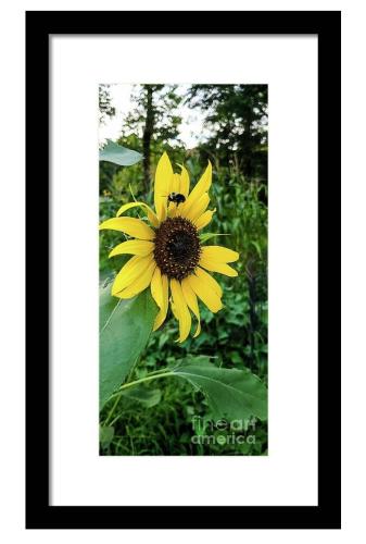 Screenshot_20260422_134255_Brave