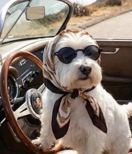 5c60c4fb6c49ef237b3e6176b9035efb