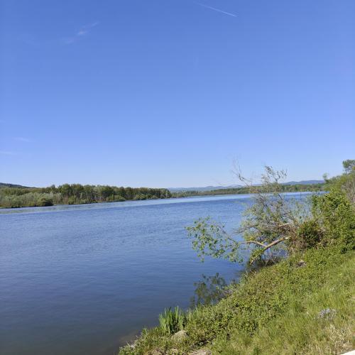 IMG20260427101428