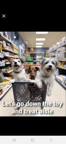 Screenshot_20260402_063101_Wimkin Free Speech Social Media