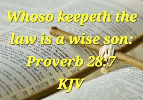 1217a1a8-c06a-45e1-a47b-f87706d739f2