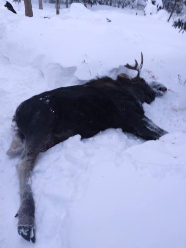 Wow.. something needs to be done.