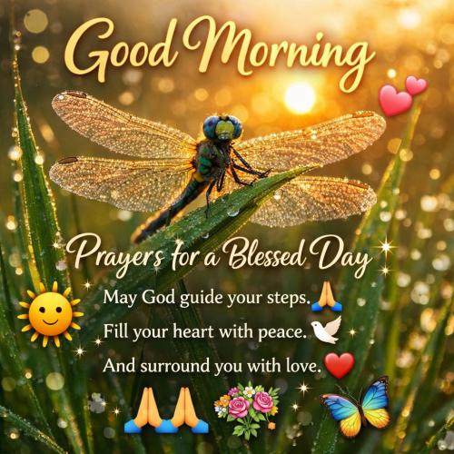 668421574_122208618446310593_7238258837215466512_n