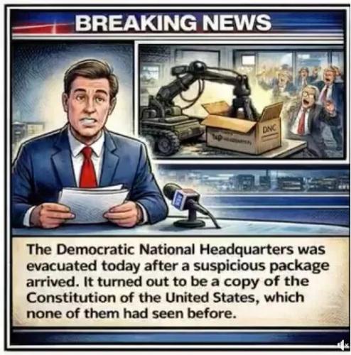 TESTHUB_photos_users_KWYQfXky85ag62RjBoUr0PAHrOR2_vT46Q0tMDavJRW_vnP^K_img_rsz__1100x1100