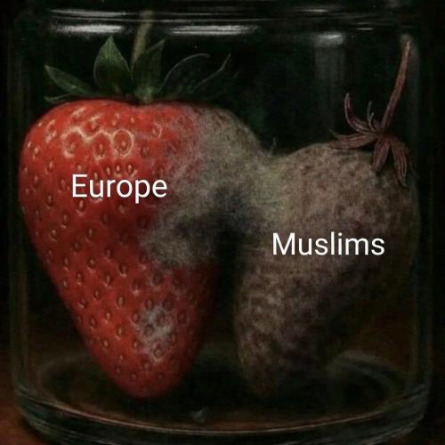 IMG_20260426_065928_273