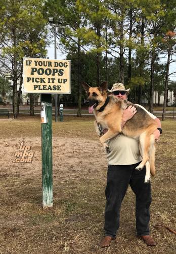 _If your dog poops pick it up - resized