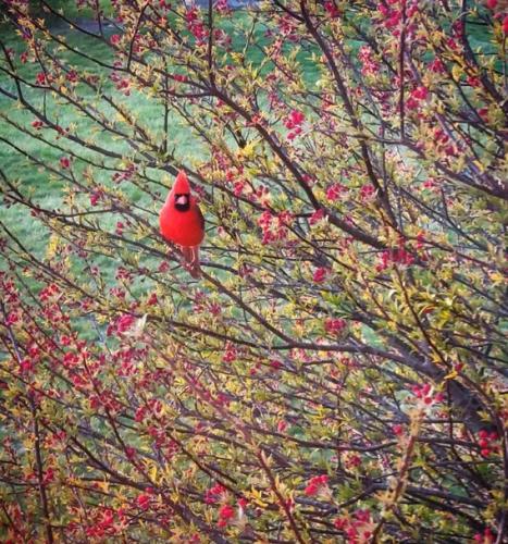 63b7aed058bb47c5259b1c7f6c054e5f