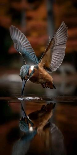 674589726_1718382475995638_2673234783794155149_n