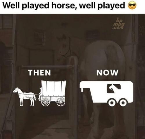 _main-qimg-1e2dcb0d9c9d6f4732b69bebb4569906