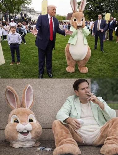 rubio-easter-bunny