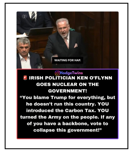 irish politician