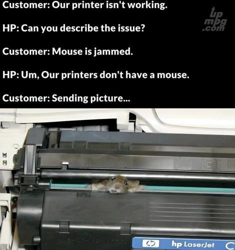 _main-qimg-fc75b2a951473ec6f5c147269b688099