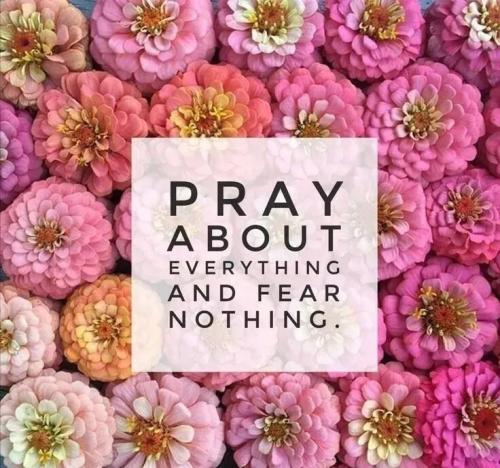 TESTHUB_photos_users_KPBY8Tc46ldqLjWXf6bqxqOW3AR2_-OrBVtD96ZBy6TWRrJou_img_rsz__1100x1100