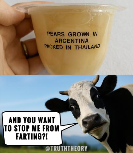 486525896_1057046806233639_1601829654409247034_n