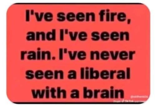 Messenger_creation_27E568EA-C34A-4376-889E-B1FAC63ACB8E