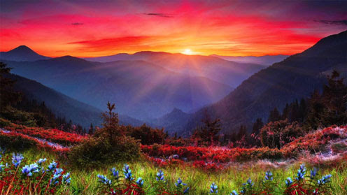 041626 - Messiah Garden Of Death