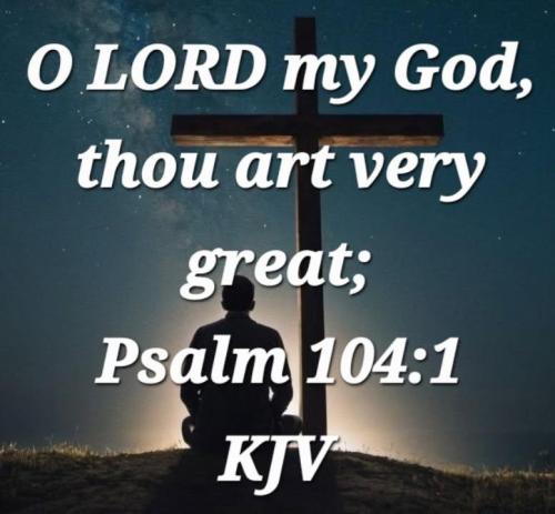 f56e62df-067f-4e15-8235-7c143c66bd17