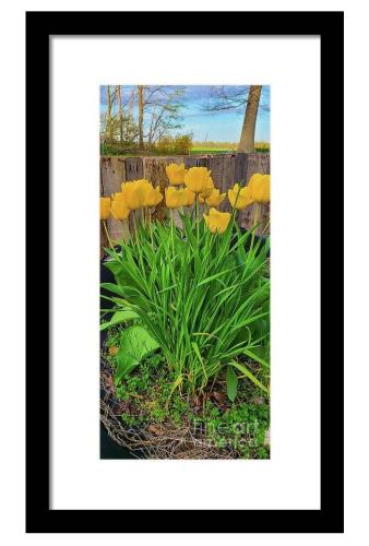 Screenshot_20260427_104347_Brave