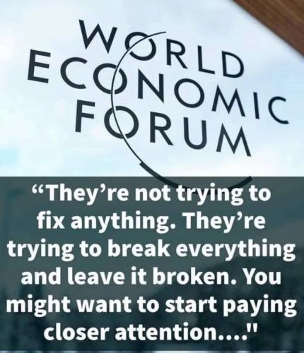 9ad55c77-3d4d-4032-a550-d738f21b2aa5