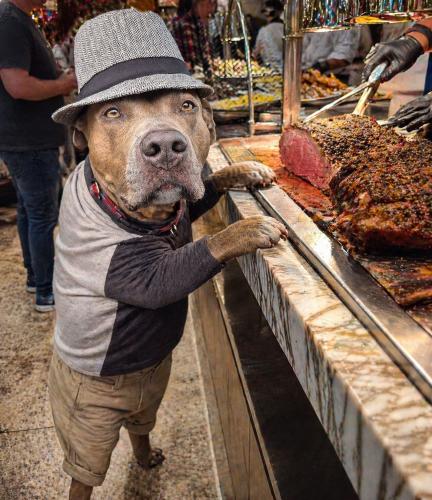 a prime rib day