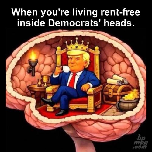 main-qimg-7f55e89a1b5bc08b9851073e3cd12f7a