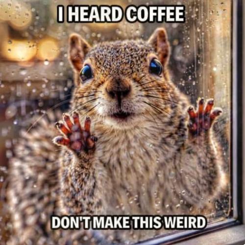 672384246_893527950381237_6196040544495400695_n