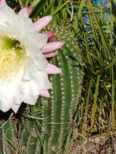 672318c1-70ea-439d-8133-25aabe3db7db