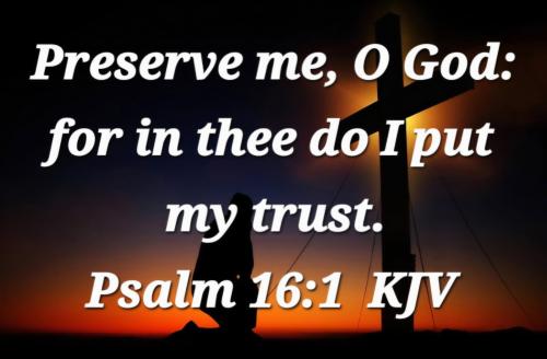 24bfcfdd-45a7-4bc9-b405-758c73a6d804