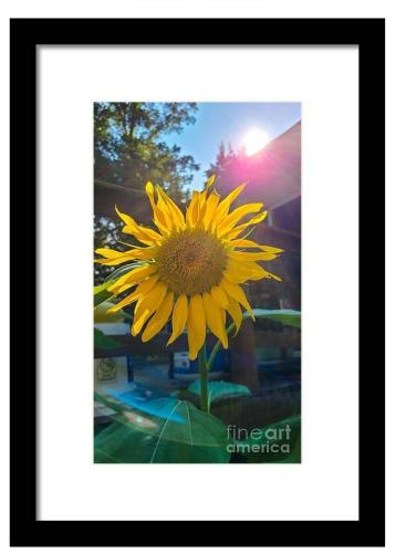 Screenshot_20260416_181816_Brave