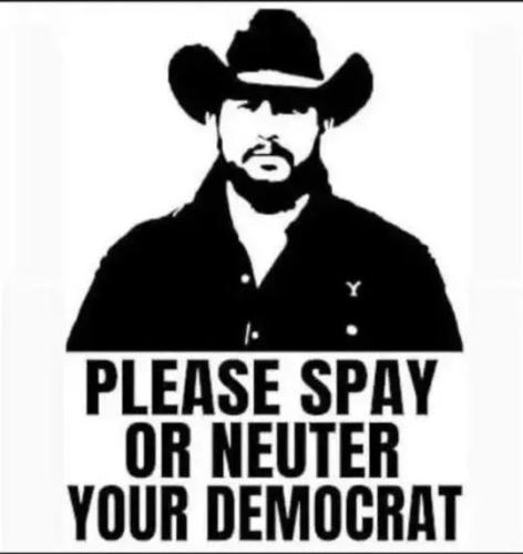 TESTHUB_photos_users_KPBY8Tc46ldqLjWXf6bqxqOW3AR2_-OpLtenJ79aBYP-E7_sg_img_rsz__1100x1100