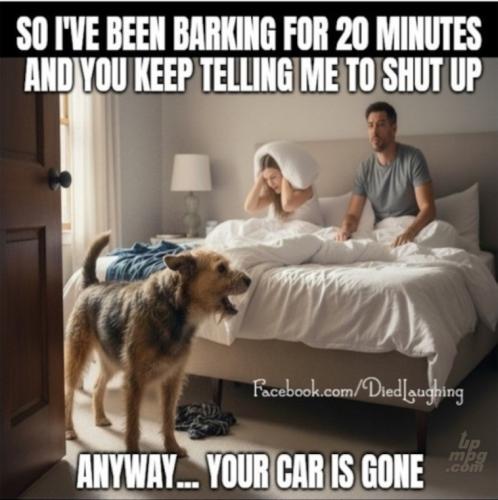 _main-qimg-36f827fa53b818db82755d7c4ec569f6