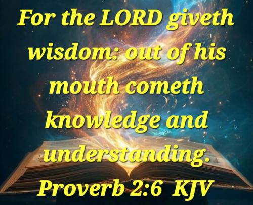 1e250e90-d77a-47b1-b592-7cdb8487d2e6