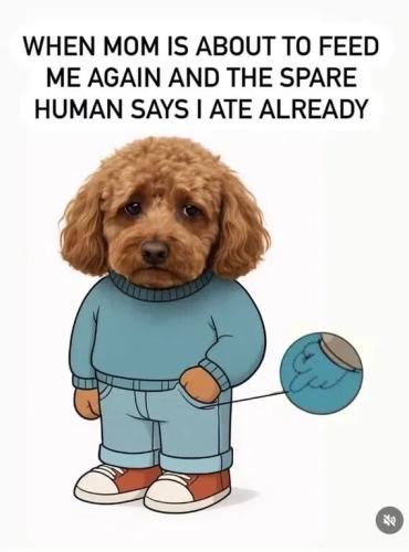 says-i-ate-already