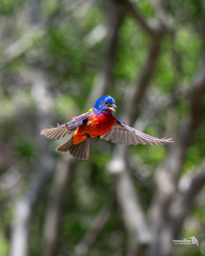 RDT_20260428_2034028670314128318970173