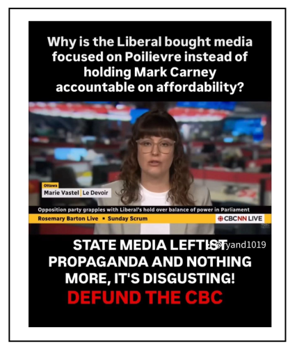 why is the liberal media