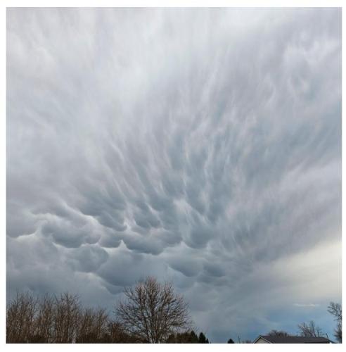 6a882d79-296c-44db-9227-3b0e68f0f795