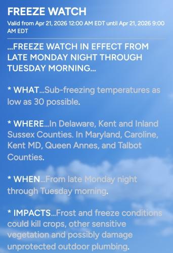 Screenshot_20260419_042707_WBOC Weather