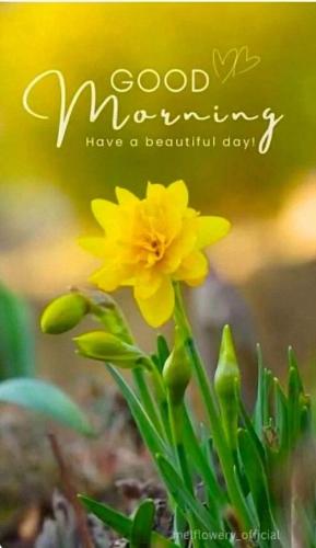 5fec121d03975327fb970e5c0a8fba31