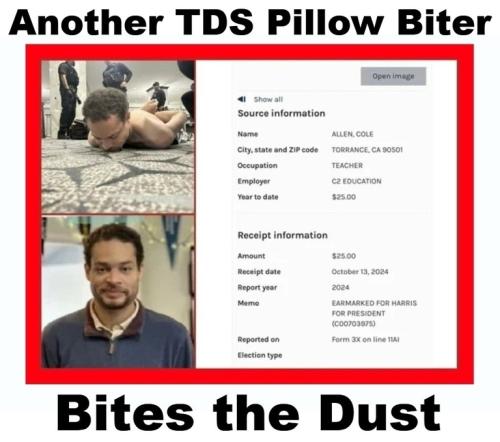 Another TDS Pillow Biter Bites the dust.768px
