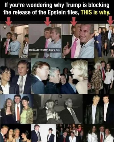 f8609ba106548c9449999538061db0ad