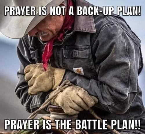 Resized_TESTHUB_photos_users_KPBY8Tc46ldqLjWXf6bqxqOW3AR2_-OpPzk78j393A-vVHNTF_img_rsz__1100x11