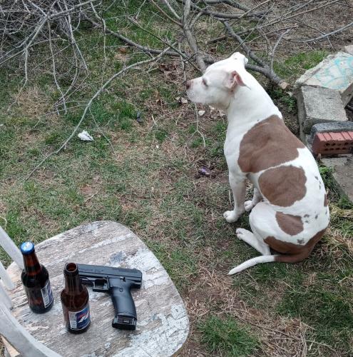 Screenshot_20260417_224156_Photos~2